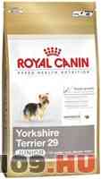 Apróhirdetés, Yorkshire Terrier junior 500g