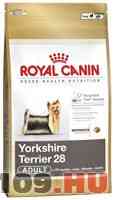 Apróhirdetés, Yorkshire Terrier adult 500g