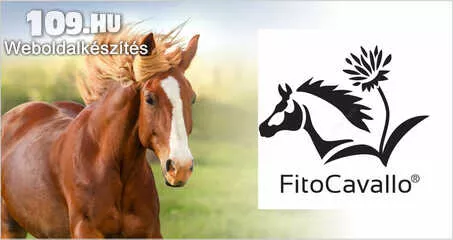 Apróhirdetés, Emésztésjavító lovaknak gyógynövény keverék  Fitocavallo PREVUL-D
