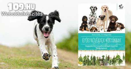 Apróhirdetés, Kiadvány Marton Zsófia - Dr. Szilágyi Máté: Gyógynövények kutyáknak