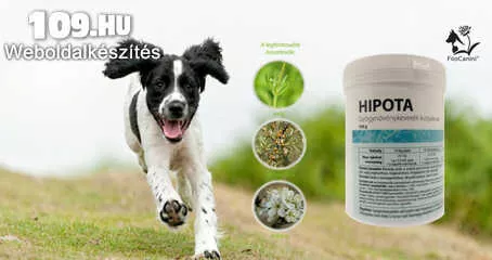Apróhirdetés, Pajzsmirigy alulműködésre kutyáknak gyógynövény keverék FitoCanini HIPOTA