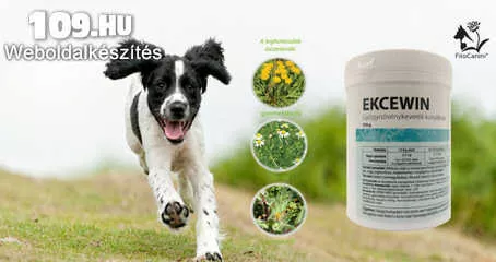 Apróhirdetés, Allergiára kutyáknak gyógynövény keverék  FitoCanini EKCEWIN