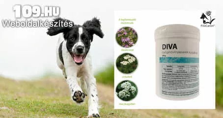 Apróhirdetés, Immunerősítő kutyáknak gyógynövény keverék FitoCanini DIVA