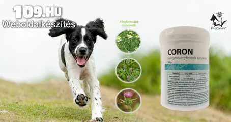 Apróhirdetés, Emésztésjavító  kutyáknak gyógynövény keverék  FitoCanini CORON