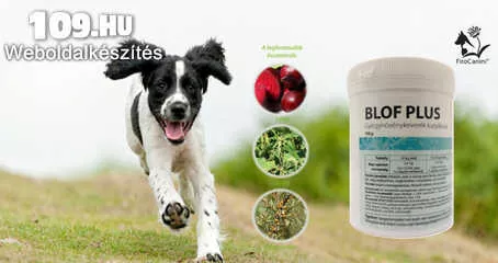 Apróhirdetés, Immunerősítő  kutyáknak gyógynövény keverék FitoCanini BLOF PLUS
