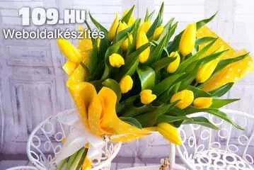 Apróhirdetés, Gyönyörű Nőnapi csokor 20 szál tulipánból