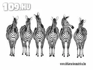 Apróhirdetés, Falmatrica - Zebra 2 63 cm x 35 cm