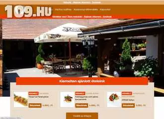 Apróhirdetés, Bajnok étterem - Weboldal készítés Szolnok