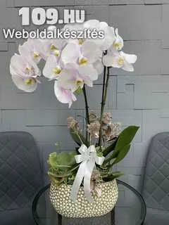 Apróhirdetés, Orchideás Összeültetés kaspóban