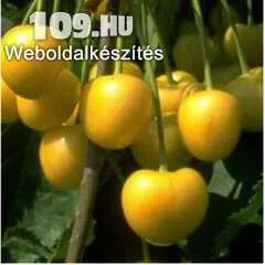 Apróhirdetés, Dönisenova (Sárga Cseresznye) cseresznye