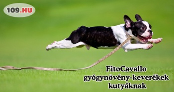 FitoCavallo gyógynövény-keverékek kutyáknak